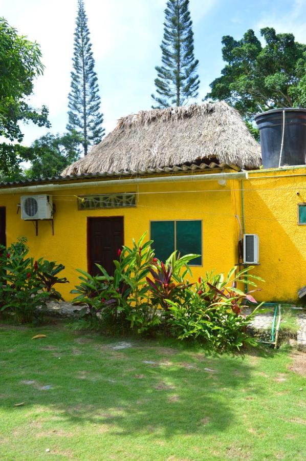 Ecohostal Palmares Del Rio Guachaca Екстер'єр фото