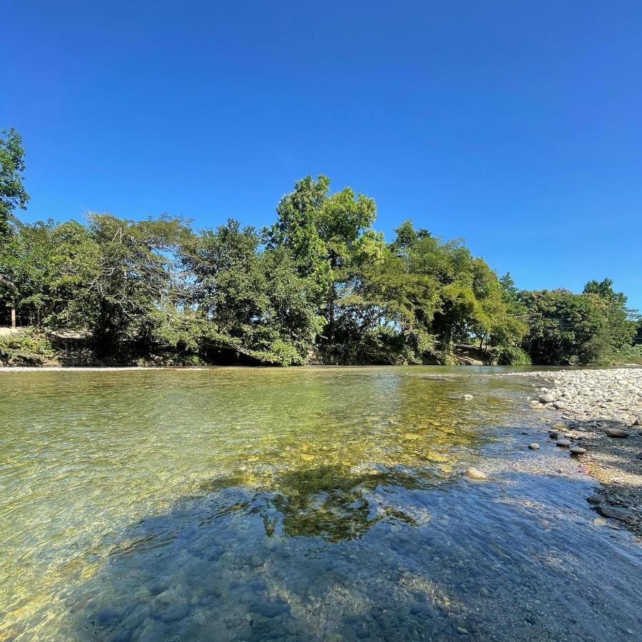 Ecohostal Palmares Del Rio Guachaca Екстер'єр фото