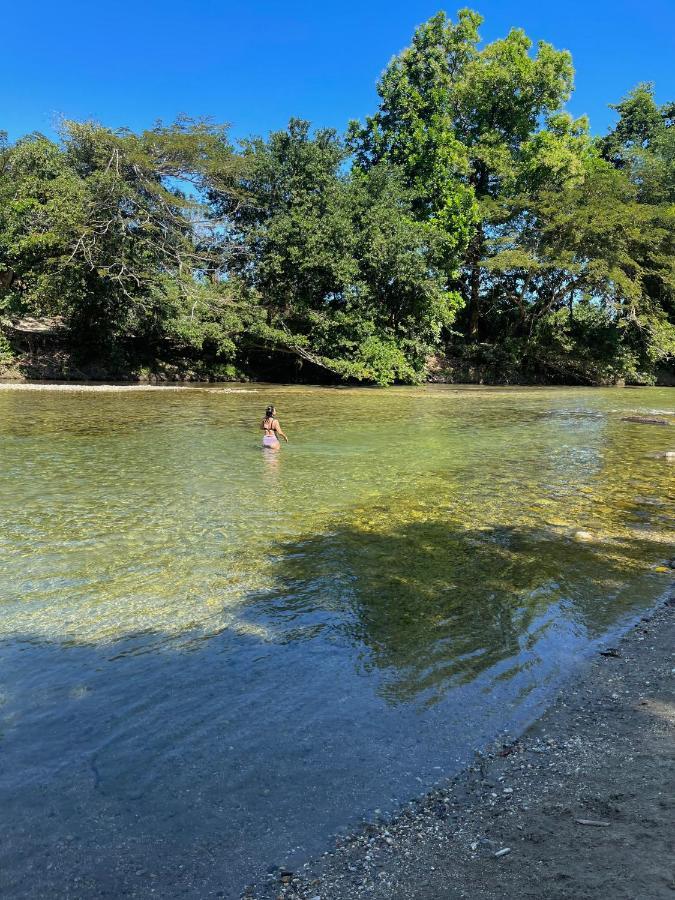 Ecohostal Palmares Del Rio Guachaca Екстер'єр фото