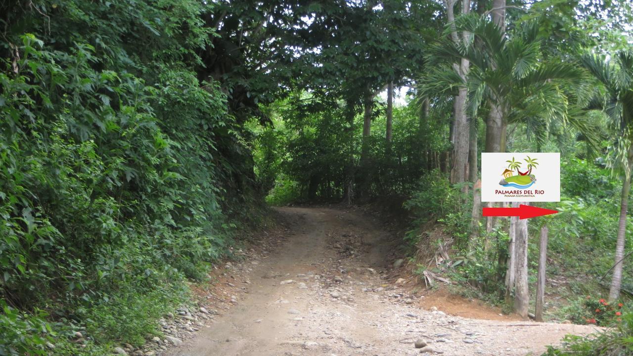 Ecohostal Palmares Del Rio Guachaca Екстер'єр фото