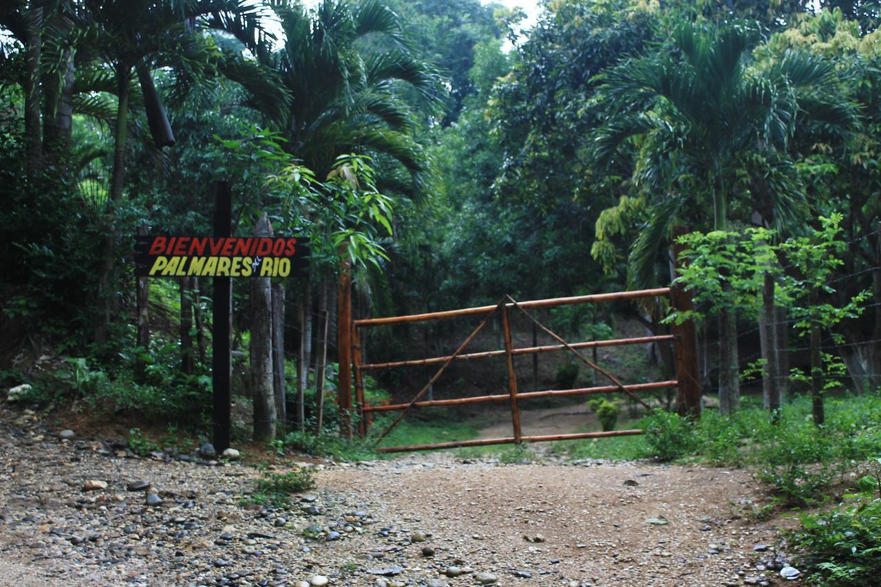 Ecohostal Palmares Del Rio Guachaca Екстер'єр фото