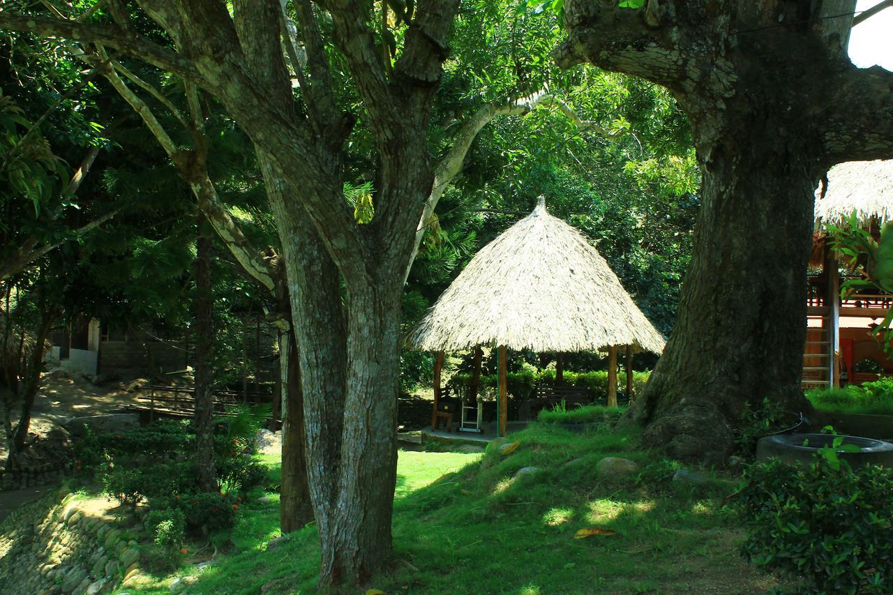 Ecohostal Palmares Del Rio Guachaca Екстер'єр фото